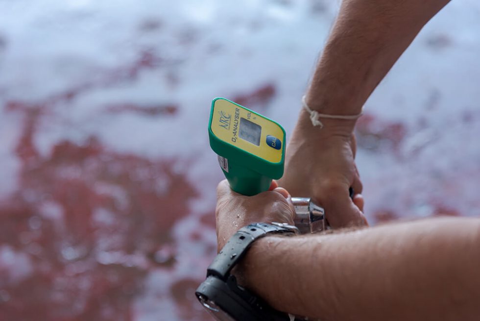 The Myth About Nitrox | Blog post - Divinguru