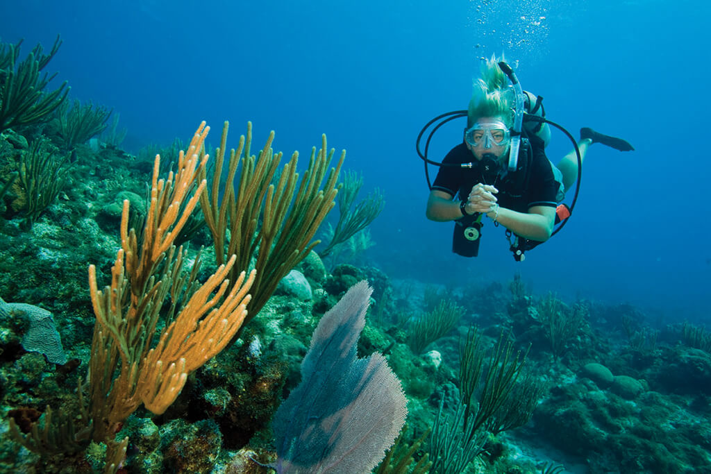 PADI Adventure Diver Course with Divinguru