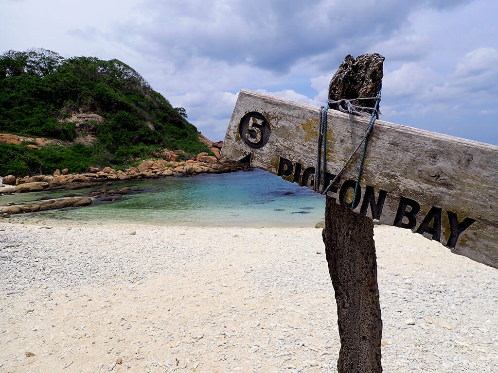 What is the best time to Snorkel in Pigeon Island? Find out when and where to spot Blacktip reef sharks, green sea turtles, hawksbill sea turtles and more in the snorkeling area of Pigeon Island Marine National Park in Sri Lanka 