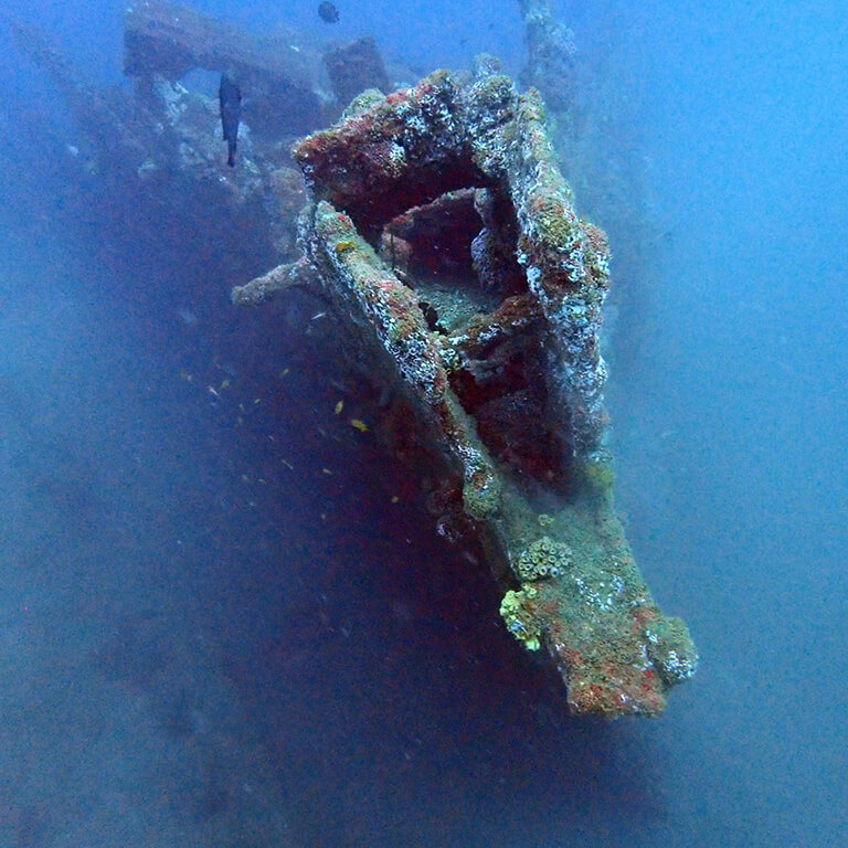 Dive on the famous Rangoon Wreck in Galle with Divinguru, the most beautiful wreck in Unawatuna at 30 meters depth