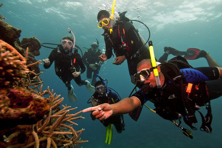 Try Scuba Diving for beginners with Divinguru in Sri Lanka