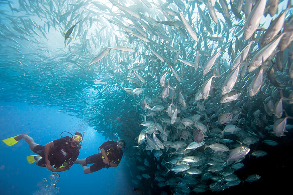 PADI Advanced Open Water Diver Course with Divinguru diving center