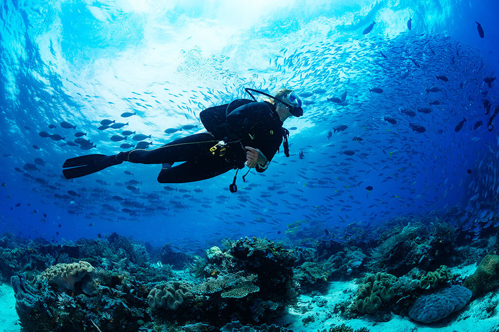 scuba diver drifting over corals