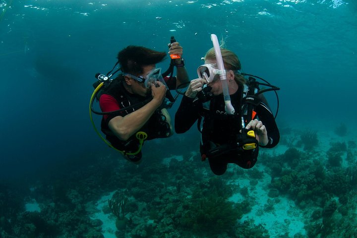 PADI Scuba Diver Course subset of PADI OWD with Divinguru