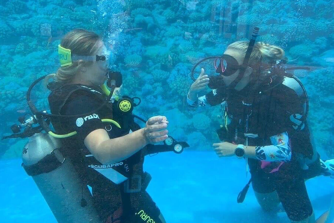 equipment preparation before diving with your Divemaster or PADI Instructor in our Divinguru dive resort in Nilaveli