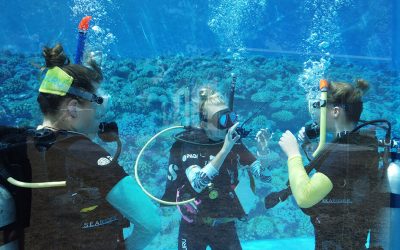 How to choose the best diving centre for your PADI Open Water Diver Course