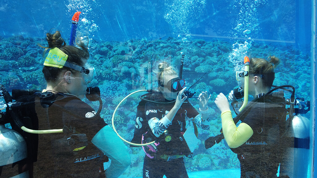 How to choose the best diving centre for your PADI Open Water Diver Course