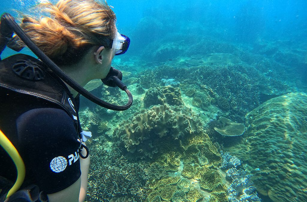 Discover the Beauty of Diving in Nilaveli, Sri Lanka