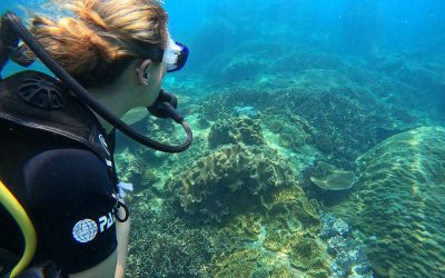 Discover the Beauty of Diving in Nilaveli, Sri Lanka