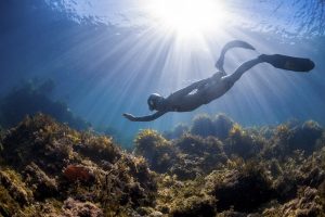 female freediver swimming underwater on the top of the coral reef in clear visibility
