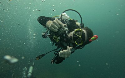 Falling in Love with Scuba Diving in Sri Lanka