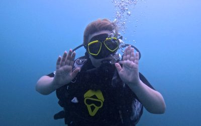 Reasons Why Diving Insurance is Important!