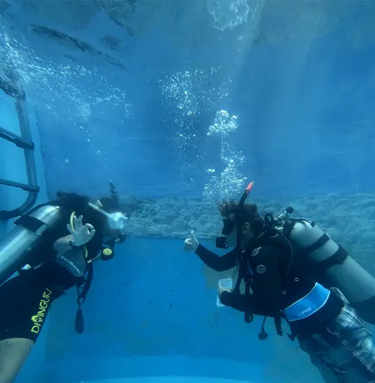 Top Scuba Dive Sites in Sri Lanka