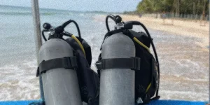 East coast diving sri lanka