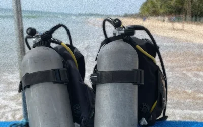 A Tourist’s Guide to Snorkelling and Diving the Eastern Reefs